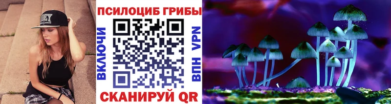 Псилоцибиновые грибы Cubensis  blacksprut зеркало  Черемхово  купить  цена 